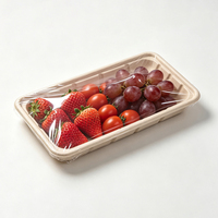 Composteerbare voedselveilige suikerrietbagasse schaal 274x149x18,5mm voor verse producten & vlees, commercieel, FDA, BRC, groothandel