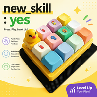 Ensemble de touches de clavier sur le thème du canard, son et lumière, porte-clés fantaisie, touches de clavier colorées, cadeau promotionnel