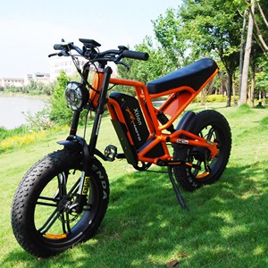 Vélo Électrique Tout-Terrain UE216 à Pneus Larges, 20 Pouces, 7 Vitesses, 750W, avec Batterie au Lithium Amovible 48V – Vélo à Assistance Électrique 500W – Offre Spéciale - Product Image 2