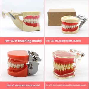 Modelo de Enseñanza Dental para la Comunicación Médico-Paciente, Restauración de Implantes Dentales <span class=keywords><strong>Removibles</strong></span>, Uso Clase I - Product Image 1