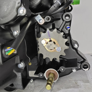 Moteur OEM 4 temps refroidi par air SOHC 13KW avec boîte de vitesses 6 rapports, kit TM250 avec arbre d'équilibrage - Product Image 3