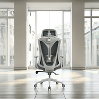 Chaise de bureau ergonomique personnalisée au prix d'usine, design moderne, dossier haut en maille, pivotante, réglable, avec support lombaire, base en acier