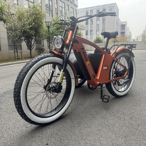 Triciclo Elettrico per Adulti con Sidecar Bici <span class=keywords><strong>a</strong></span> <span class=keywords><strong>3</strong></span> <span class=keywords><strong>Ruote</strong></span> Ebike da Carico 750w con Batteria al Litio Nascosta Etrike Sidecar - Product Image 5