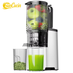 Extracteur de jus à mastication lente avancé 2025 pour usage domestique |   Presse à froid compacte pour jus de fruits et légumes avec fonctionnement silencieux - Product Image 1