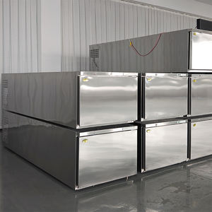 Frigorifero e Congelatore Mortuario in Acciaio Inossidabile di Alta Qualità Stile Europeo, Temperatura Regolabile, Ecologico, Durevole -18°C - Product Image 3