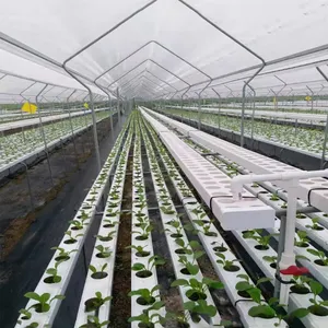 أنابيب مسطحة مصنوعة من كلوريد البولي فينيل لنظام الزراعة المائية لنمو الخضراوات والأوراق بسعر المصنع لنظام الزراعة المائية لنمو الغذاء