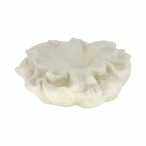 Quartz Resin Shell Decorative Bowl Modern Centerpiece Table Decor Bookshelf Styling - Product Image 3