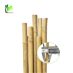 Culme de Bambu Natural Tratado, Ecológico, com Diâmetro de 6-60mm e Comprimento de 0.6-6m para Suporte de Plantas - Product Image 2