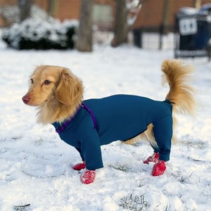 Qiqu Pet Supplies Custom New Designer Winter Dog body protezione UV tuta per animali domestici <span class=keywords><strong>a</strong></span> quattro zampe hot spot healing per bassotto - Product Image 3