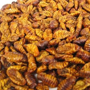Pupas de gusano de seda secas de China de calidad garantizada para pupas de gusano de seda secas <span class=keywords><strong>Koi</strong></span> alimento para pájaros salvajes para alimentación - Product Image 2