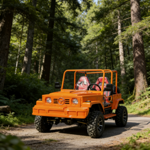 Veicolo 4x4 Willys da 300cc con motore ad alta coppia per attraversamento di pendii montani, ideale per caccia all'aperto e campeggio - Veicolo ad alte prestazioni - Product Image 5