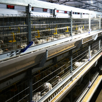 Équipement complet et automatique pour élevage avicole de 30 000 poulets de chair, poulailler préfabriqué, solution clé en main pour l'élevage de poulets de chair