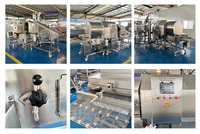 Machine à enrober la farine, machine à paner de type tambour, ligne de production de panure, moteur en acier inoxydable 304, usage commercial