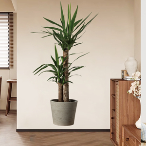 Adesivo Murale con Piante in Vaso <span class=keywords><strong>per</strong></span> Soggiorno, Camera da Letto, Corridoio, Decorazione di Sfondo, Carta da Parati Autoadesiva in PVC <span class=keywords><strong>per</strong></span> Festività - Product Image 4
