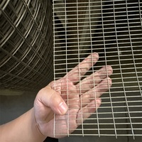 Grillage soudé en fil de fer 316L résistant aux acides, recouvert de plastique, à mailles carrées, pour la protection des cloisons industrielles