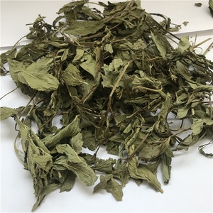 Feuilles de <span class=keywords><strong>menthe</strong></span> fraîchement récoltées, herbes séchées et thé à la <span class=keywords><strong>menthe</strong></span> <span class=keywords><strong>poivrée</strong></span> séchée - Product Image 4