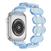 22 38 40 41 45 49mm Réglable Femmes Hommes De Luxe Grande Ellipse Utilisé Apple E Montre-Bracelet Résine Bracelet