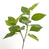 O-X977 Feuillage artificiel en latex de haute qualité, toucher réaliste, longue tige, plantes à toucher naturel, feuillage vert pour la décoration de la maison et des mariages