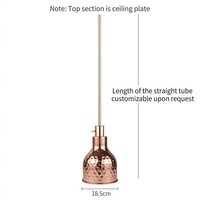 Lampe chauffante infrarouge rétractable pour aliments, chauffe-plats suspendu pour buffet, pizza, rôtis, usage commercial pour hôtels et restaurants