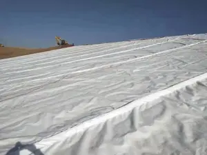 4800G Gcl Bentoniet Geosynthetics Kleiliner Voor Kunstmatige Meerspoorweg Waterdicht Rivieroever