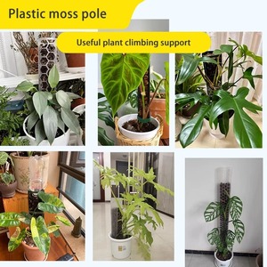 <span class=keywords><strong>Tuteur</strong></span> en plastique pour plantes grimpantes d'intérieur, support pour Monstera, accessoires de jardinage - Product Image 6