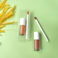Kit de Rouge à Lèvres et Crayon à Lèvres Vegan Waterproof Personnalisable avec Logo Privé OEM, Teinte Blanche
