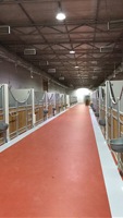 Écurie de chevaux durable pour ferme équestre, en état neuf ou d'occasion