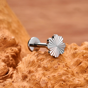 ASTM F136 titanio 16G pendientes internamente hilo Luna estrella Cruz Labret labio Stud <span class=keywords><strong>oreja</strong></span> cartílago hélice Tragus Piercing joyería - Product Image 3