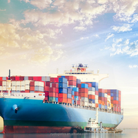 Fournisseur de services d'expédition logistique DDP rapide LCL + Agent d'expédition de fret maritime et aérien express de la Chine vers les États-Unis