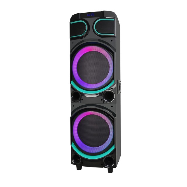 Portable Dual 10 Inch Trolley Speaker with PA Woofer Rechargeable Stereo Sound Easy Sing with RGB Light