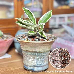 <span class=keywords><strong>Cactus</strong></span> suculenta piedra suelo mezcla ingrediente <span class=keywords><strong>perlita</strong></span> diatomita zeolita Arco Iris Leca piedra pómez maifanita Rojo Negro Lava - Product Image 4