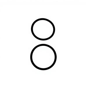 कार रूपांतरण Lpg संयोजन वाल्व फ्लोरीन रबर सीलिंग रिंग Lpg गैस सिलेंडर वाल्व सार्वभौमिक टिकाऊ तेल सील चीन बनाया गया - Product Image 1