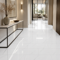 Carreaux muraux en céramique gris clair et blanc pur modernes 300x600mm pour salle de bain, cuisine, centre commercial et hôpital