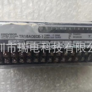 Module PLC Toshiba TR16AOECE-1 16 entrées/sorties IP65 pour machine de moulage sous pression - Product Image 2