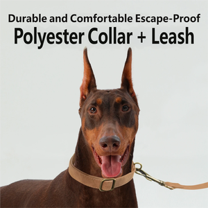 Conjunto de Correa y Collar para Perro con Acabado Mate, Estilo Moderno, Material de PU con Hebilla de Aleación, Antitirones, Suave, para Perros de Todos los Tamaños - Product Image 3