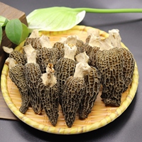 Vente en gros de champignons Morilles frais, Mycélium de culture de Morchella, Graines de champignons Morilles