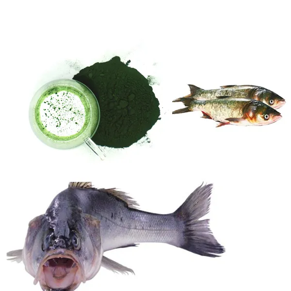 Cua, tôm, cá sử dụng cho ăn Spirulina bột tốt cho sức khỏe động vật