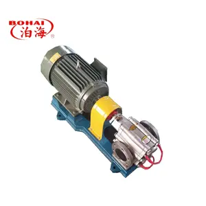 Stainless Steel Gear Pump Electric Heating Transmission Pump Heating Fast And Convenient