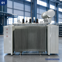 Transformador de Potencia de Alta Eficiencia de 1600 kVA, 10 kV, 3 Fases, Sumergido en Aceite, con Bobinado de Doble Capa, 50/60 Hz, Certificado IEC, para Distribución