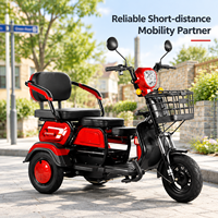 Tricycle Électrique à 3 Roues en Gros, Batterie Plomb-Acide 60V 20Ah, Moteur Moyeu Arrière, 3 Sièges Passagers, Carrosserie Ouverte, Vente Directe Usine