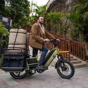 The Newest Customized Luxury IoT Men 1000W 1500W Cargo E Bike For Family Camping