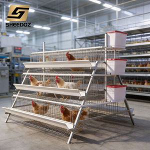 Jaula para gallinas ponedoras, jaulas para aves de corral, jaulas de batería para gallinas ponedoras, gallinero galvanizado en oferta, jaula para gallinas tipo A para granja de cría - Product Image 6