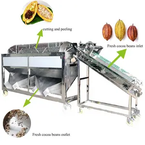 Fave di cacao che rimuovono la macchina di separazione macchina per sbucciare la pelle del caffè fresco