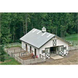 Hangar de bétail, léger, construction métallique, Structure en acier, cheval, grange, cheval, Stable, à vendre - Product Image 1