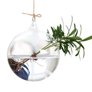 Dropshiping Glass Large Hanging Planters Water Air Plant <b>Succulent</b> Containers Terrarium Kits 2 Holes With Strings Rope for Home - Product Image 1