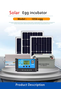 Incubadora Solar Directa de Fábrica, Incubadora Solar para Cría, Capacidad para 1056 Huevos - Product Image 6