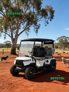 Электрический низкоскоростной автомобиль (LSV) для гольфа, гольф-кар с увеличенным запасом хода, для сообществ и гольф-полей, акционная модель - Product Image 1