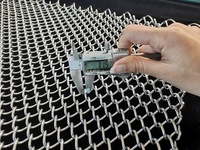 Roll Kawat Jaring Mini Rantai Baja Anti Karat Kustom untuk Pagar Pengaman dan Perlindungan Hewan dengan Layanan Pemodelan 3D