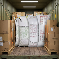 Kantong Udara Dunnage Reusable 100x220cm Putih Pengisi Celah Tiup untuk Perlindungan Pengiriman Kontainer, Dapat Didaur Ulang, Terbuat dari Polypropylene Woven