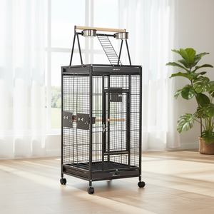Wholesale Black Metal Large Bird <strong>Cage</strong> for Canary &amp; Parrot Durable Secure Houses with Customizable Size - Product Image 1